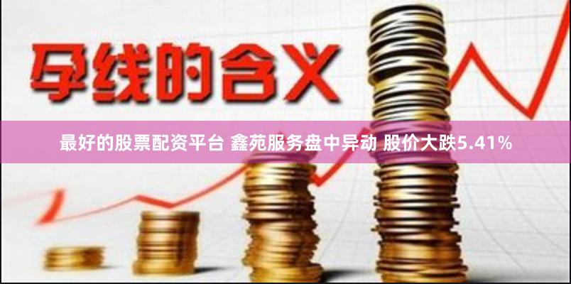 最好的股票配资平台 鑫苑服务盘中异动 股价大跌5.41%