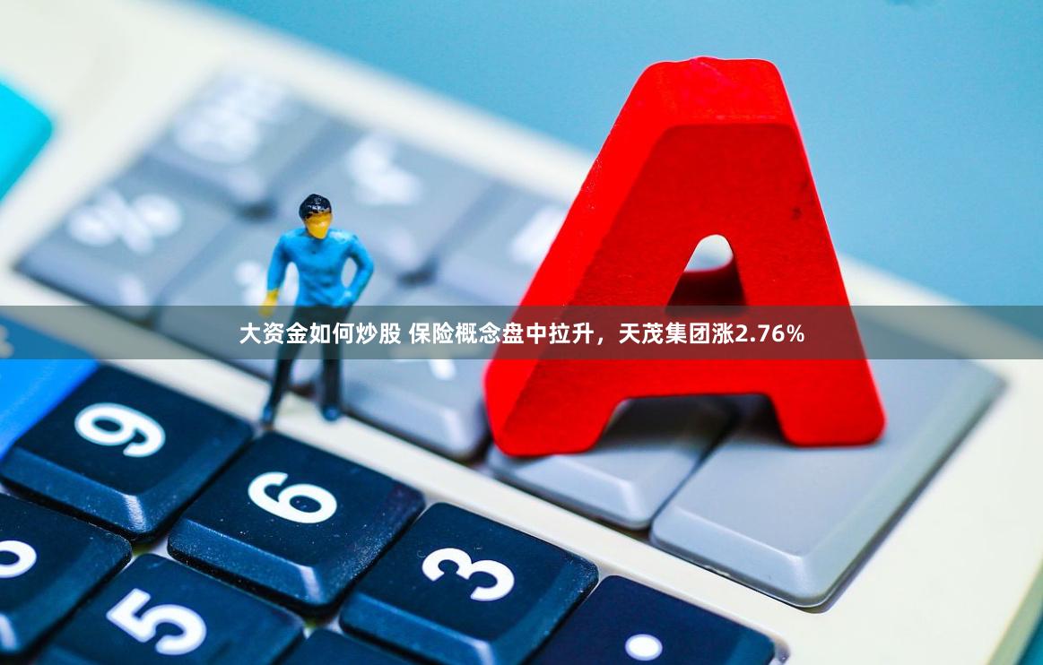 大资金如何炒股 保险概念盘中拉升，天茂集团涨2.76%