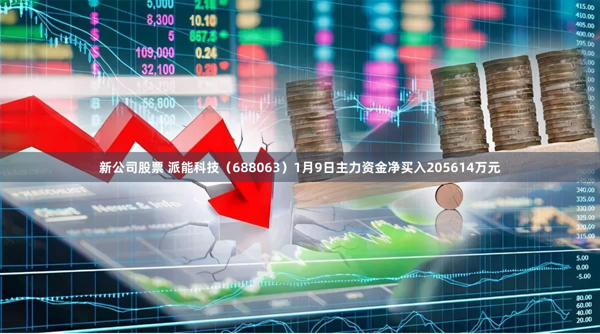 新公司股票 派能科技（688063）1月9日主力资金净买入205614万元