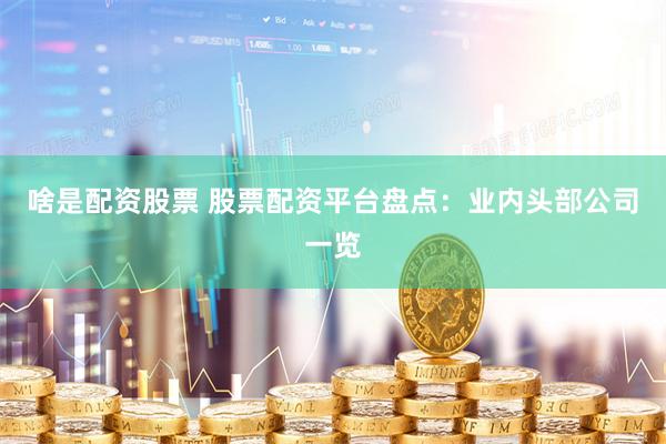 啥是配资股票 股票配资平台盘点：业内头部公司一览